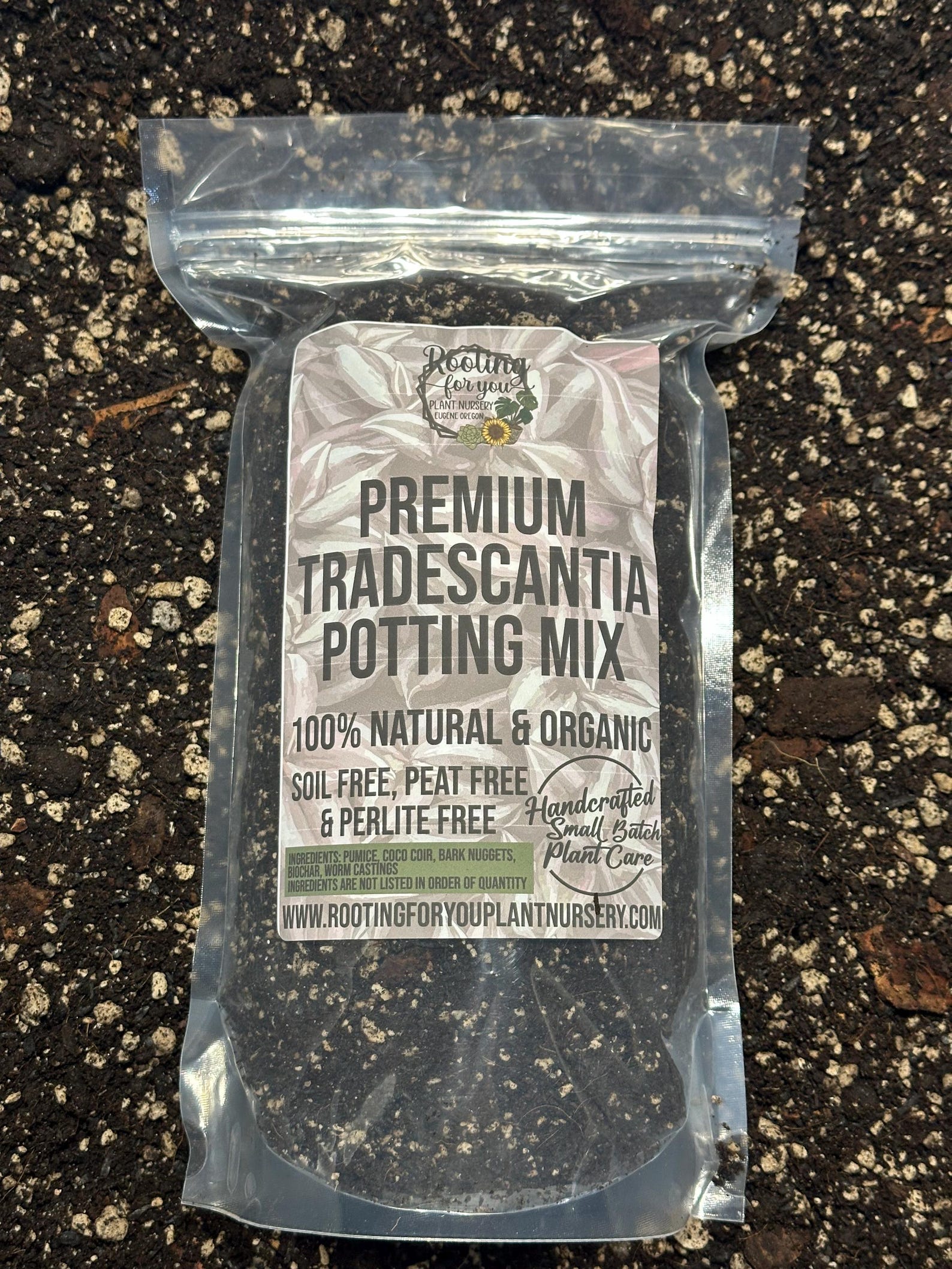 TRADESCANTIA Premium Soil Less Potting Mix Oregon Licensed Nursery - - Etsy