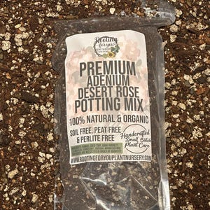 ADENIUM Desert Rose Premium Soil Less Potting Mix Oregon Licensed Nursery - rootingforyouplantnursery.com