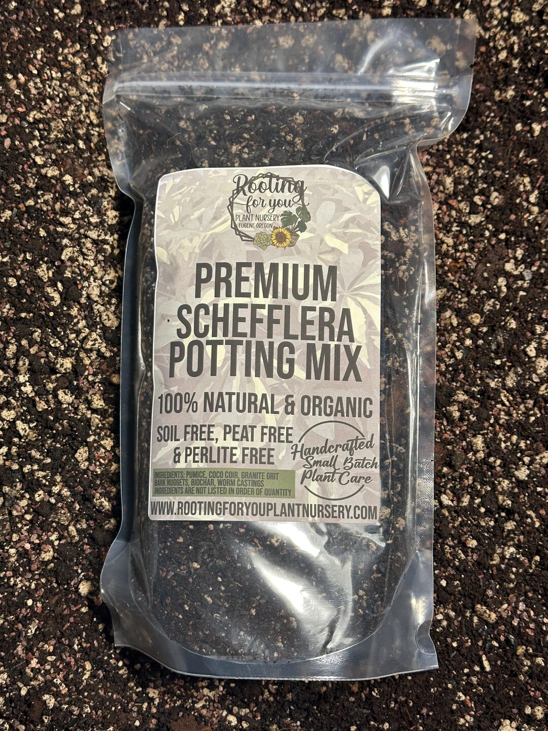 SCHEFFLERA Premium Soil Less Potting Mix Oregon Licensed Nursery - - Etsy