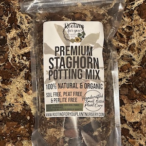May include: A clear plastic bag filled with a brown potting mix for staghorn ferns. The bag has a white label with the text "Rooting for you Plant Nursery Eugene Oregon", "Premium Staghorn Potting Mix", "100% Natural & Organic", "Soil Free, Peat Free & Perlite Free", "Handcrafted Small Batch Plant Care", and "www.rootingforyouplantnursery.com".