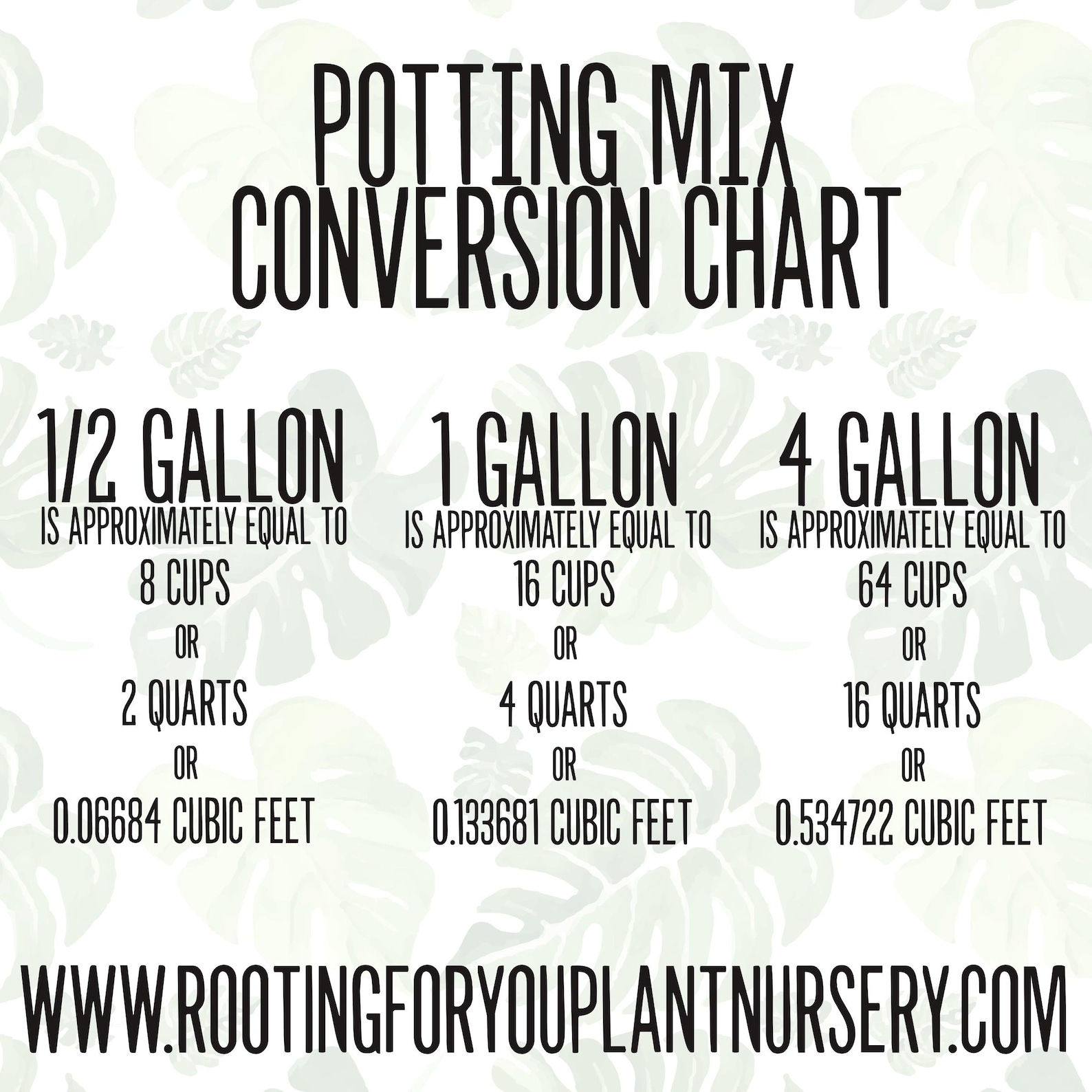 ZZ PLANT Premium Soil Less Potting Mix Oregon Licensed Nursery - - Etsy
