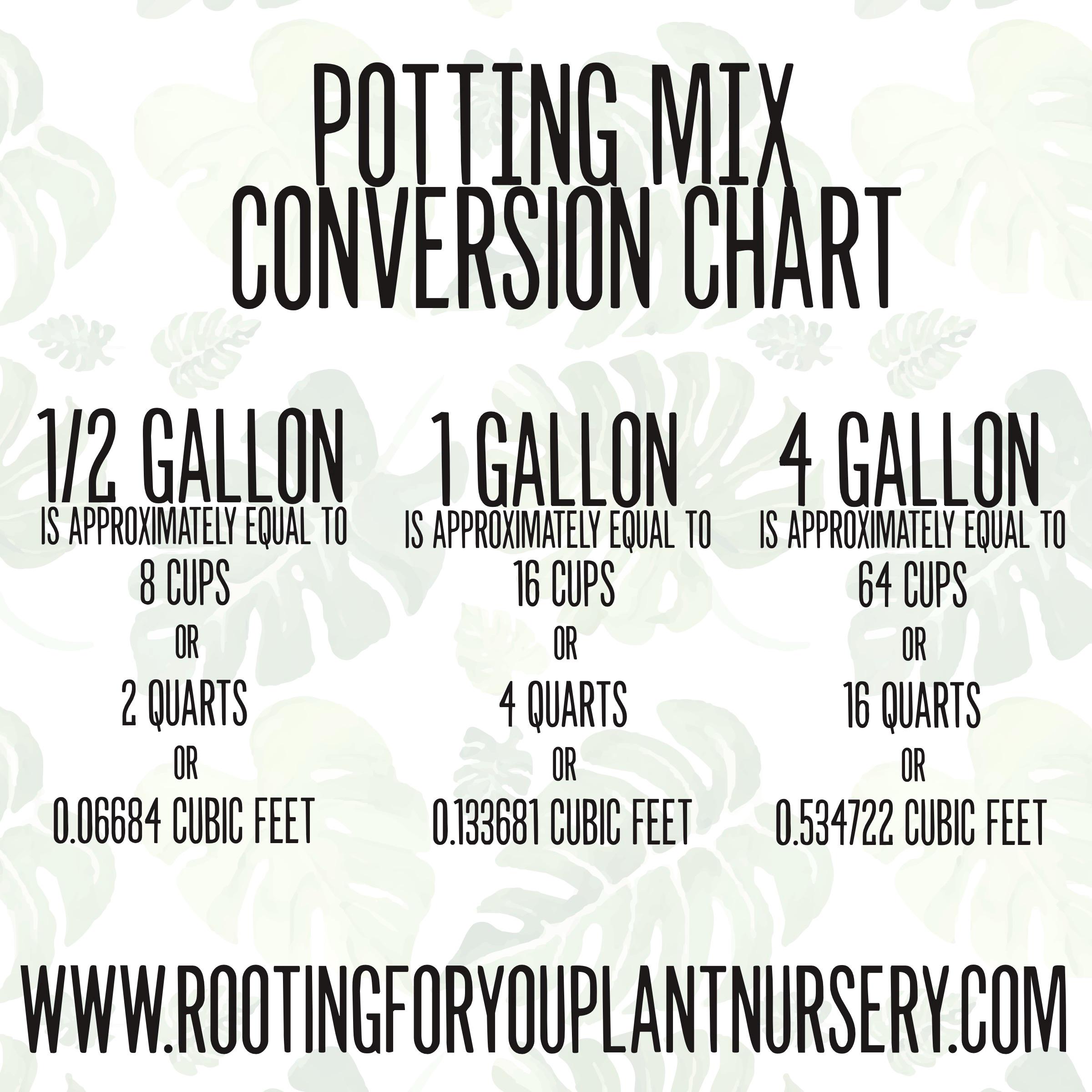 ZZ PLANT Premium Soil Less Potting Mix Oregon Licensed Nursery - - Etsy