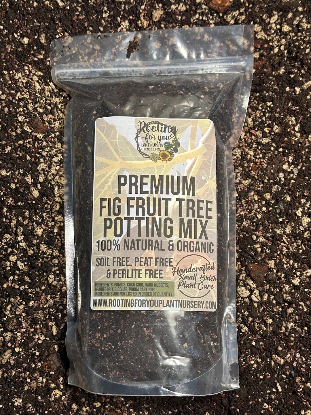FIG FRUIT TREE Premium Soil Less Potting Mix Oregon Licensed Nursery ...