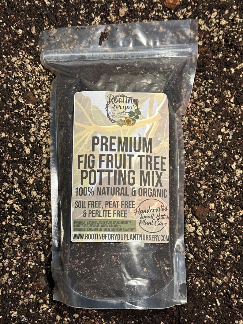 FIG FRUIT TREE Premium Soil Less Potting Mix Oregon Licensed Nursery ...