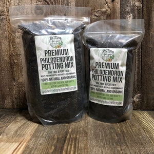 PHILODENDRON Premium Soil Less Potting Mix Oregon Licensed Nursery - rootingforyouplantnursery.com