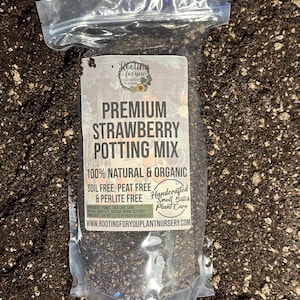May include: A clear plastic bag filled with dark brown potting mix. The bag has a white label with the text "Rooting for you Plant Nursery" and "Premium Strawberry Potting Mix". The label also states "100% Natural & Organic", "Soil Free, Peat Free & Perlite Free", and "Handcrafted Small Batch Plant Care". The website address "www.rootingforyouplantnursery.com" is printed at the bottom of the label.