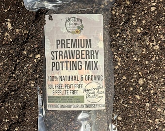 STRAWBERRY Premium Soil Less Potting Mix Oregon Licensed Nursery -