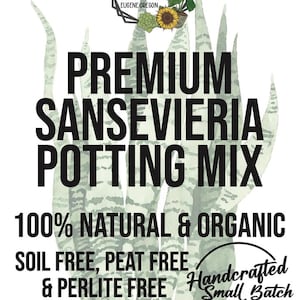 SANSEVIERIA Premium Soil Less Potting Mix Oregon Licensed Nursery - - Etsy