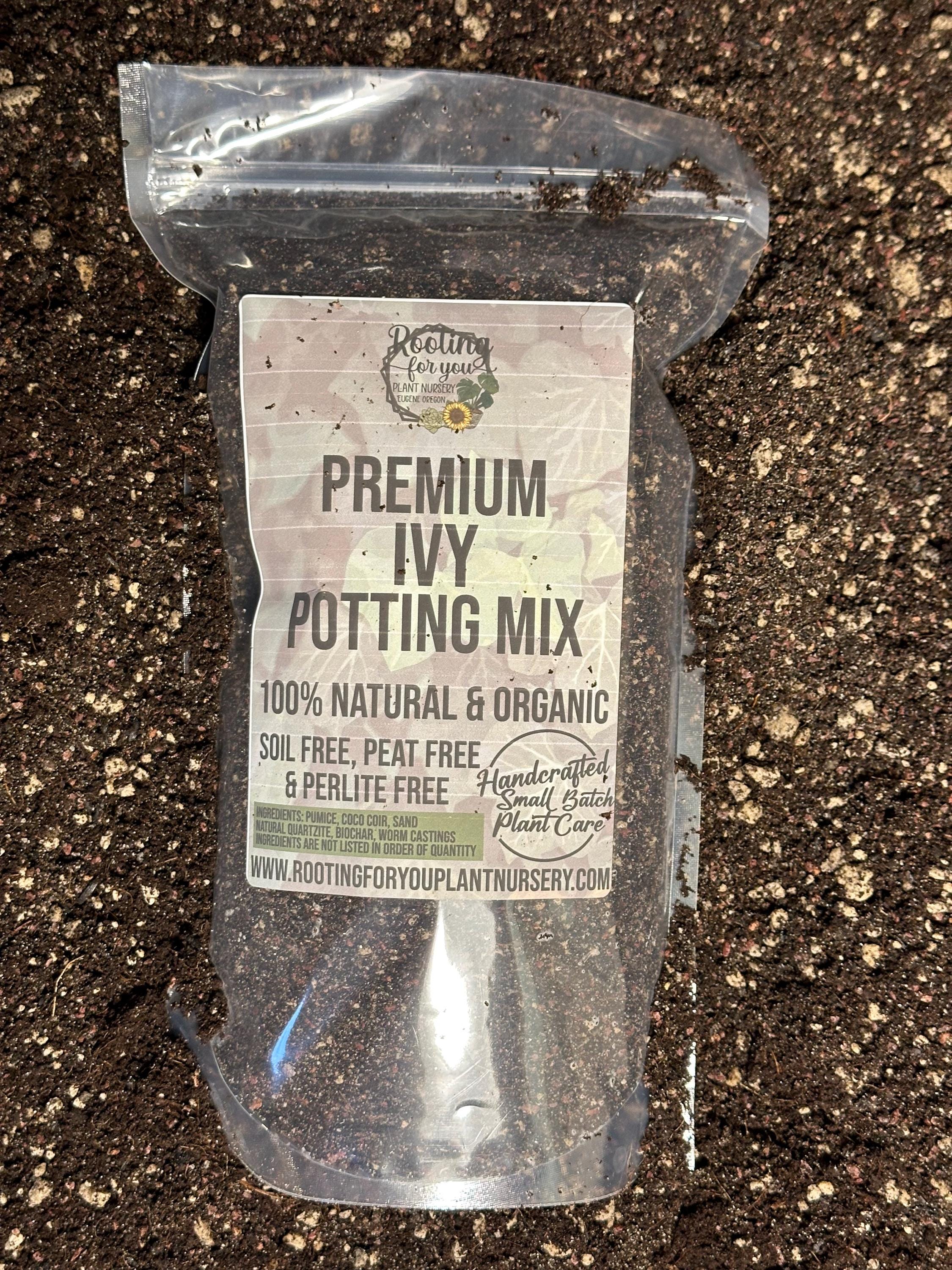 IVY Premium Soil Less Potting Mix Oregon Licensed Nursery - - Etsy