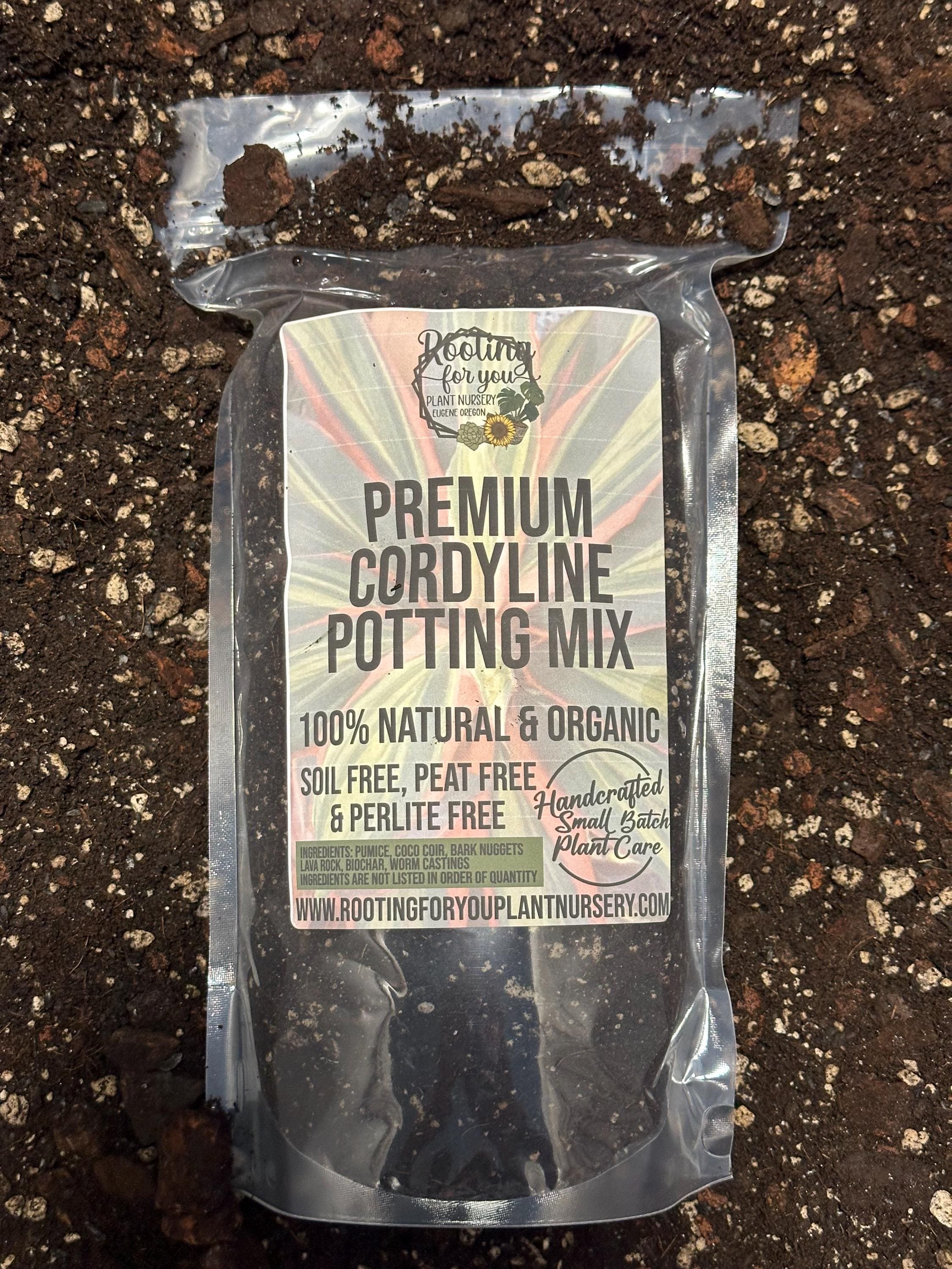 CORDYLINE Premium Soil Less Potting Mix Oregon Licensed Nursery - - Etsy