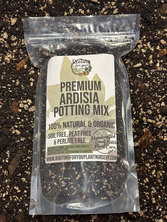 Ardisia Premium Soil Less Potting Mix Oregon Licensed Nursery - - Etsy