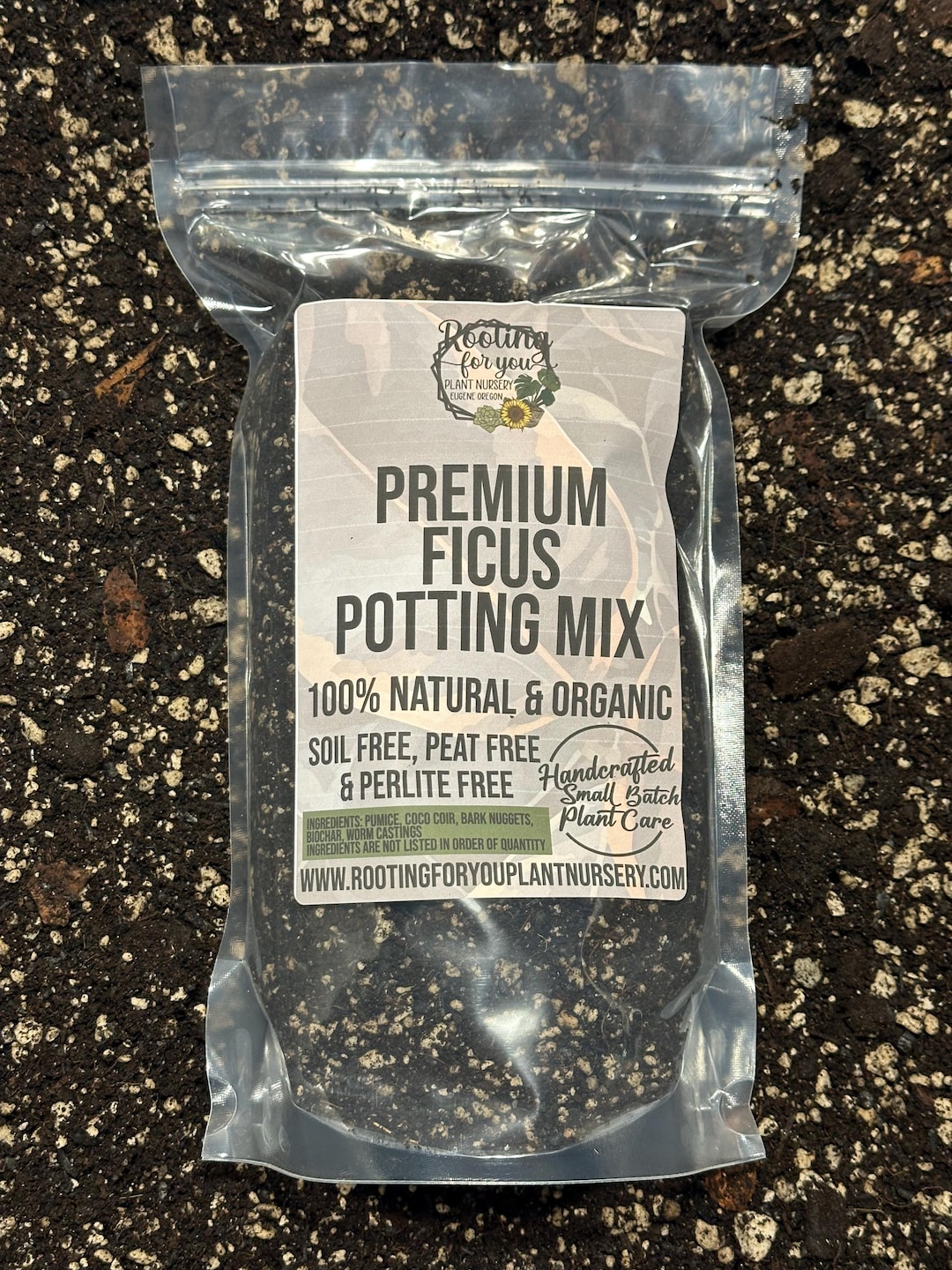 FICUS Premium Soil Less Potting Mix Oregon Licensed Nursery - - Etsy