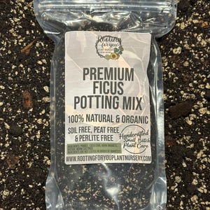 May include: A clear plastic bag filled with a dark brown potting mix for ficus plants. The bag has a white label that reads "Premium Ficus Potting Mix", "100% Natural & Organic", "Soil Free, Peat Free & Perlite Free", "Handcrafted Small Batch Plant Care", and "www.rootingforyouplantnursery.com".