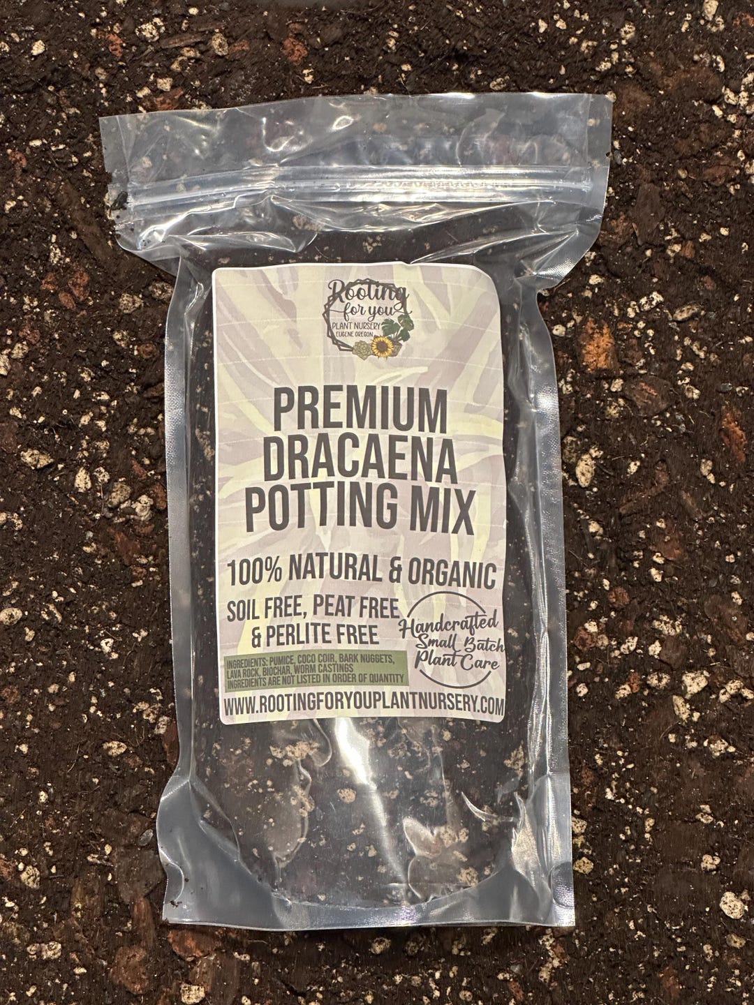 DRACAENA Premium Soil Less Potting Mix Oregon Licensed Nursery - - Etsy