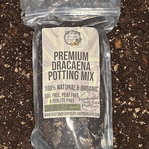 May include: A clear plastic bag filled with a dark brown potting mix for Dracaena plants. The bag has a white label with the text "Rooting for you Plant Nursery", "Premium Dracaena Potting Mix", "100% Natural & Organic", "Soil Free, Peat Free & Perlite Free", "Handcrafted Small Batch Plant Care", and "www.rootingforyouplantnursery.com".