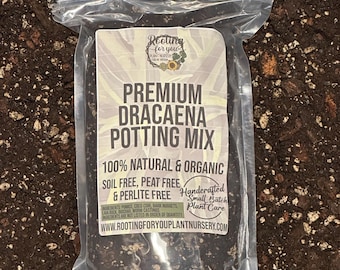 DRACAENA Premium Soil Less Potting Mix Oregon Licensed Nursery -