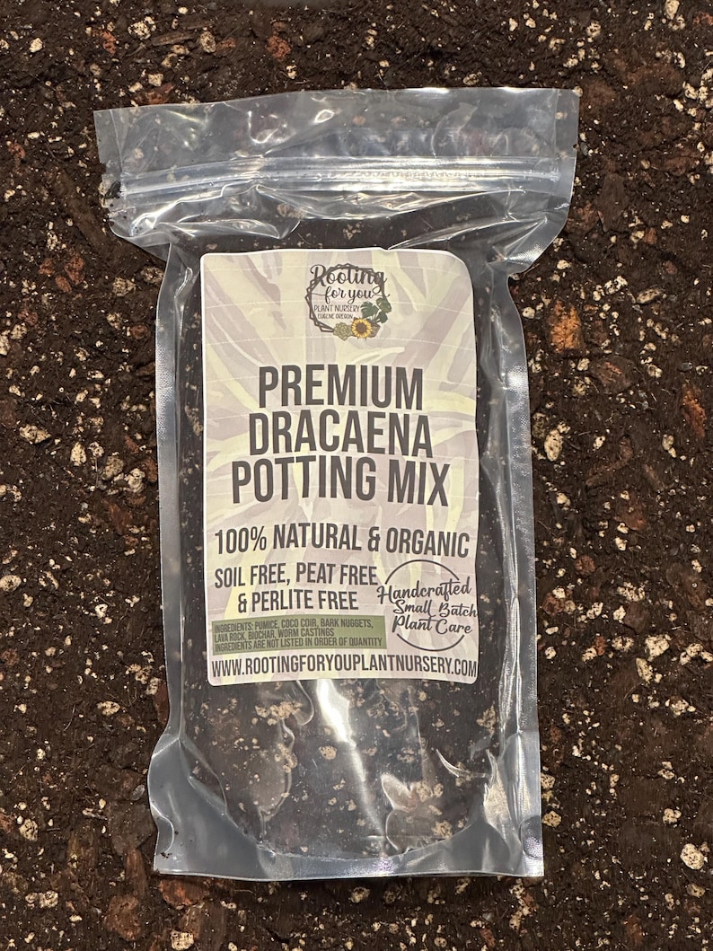 DRACAENA Premium Soil Less Potting Mix Oregon Licensed Nursery - - Etsy
