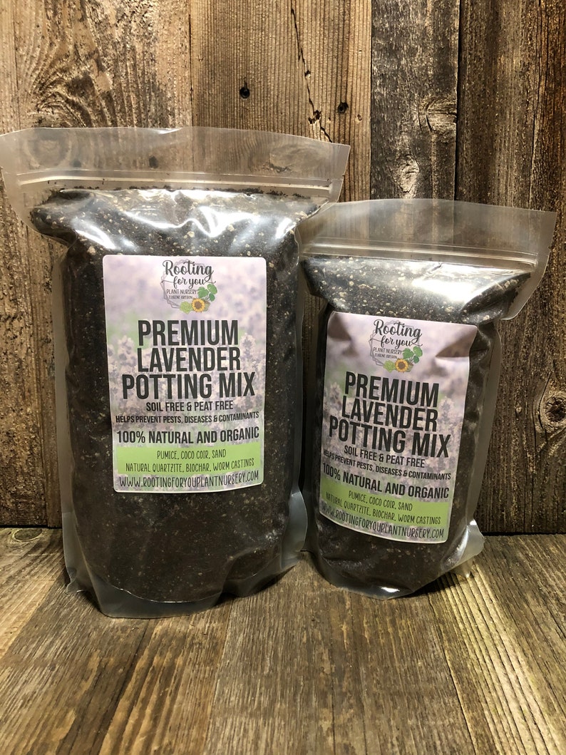 LAVENDER Premium Soil Less Potting Mix Oregon Licensed Nursery - - Etsy