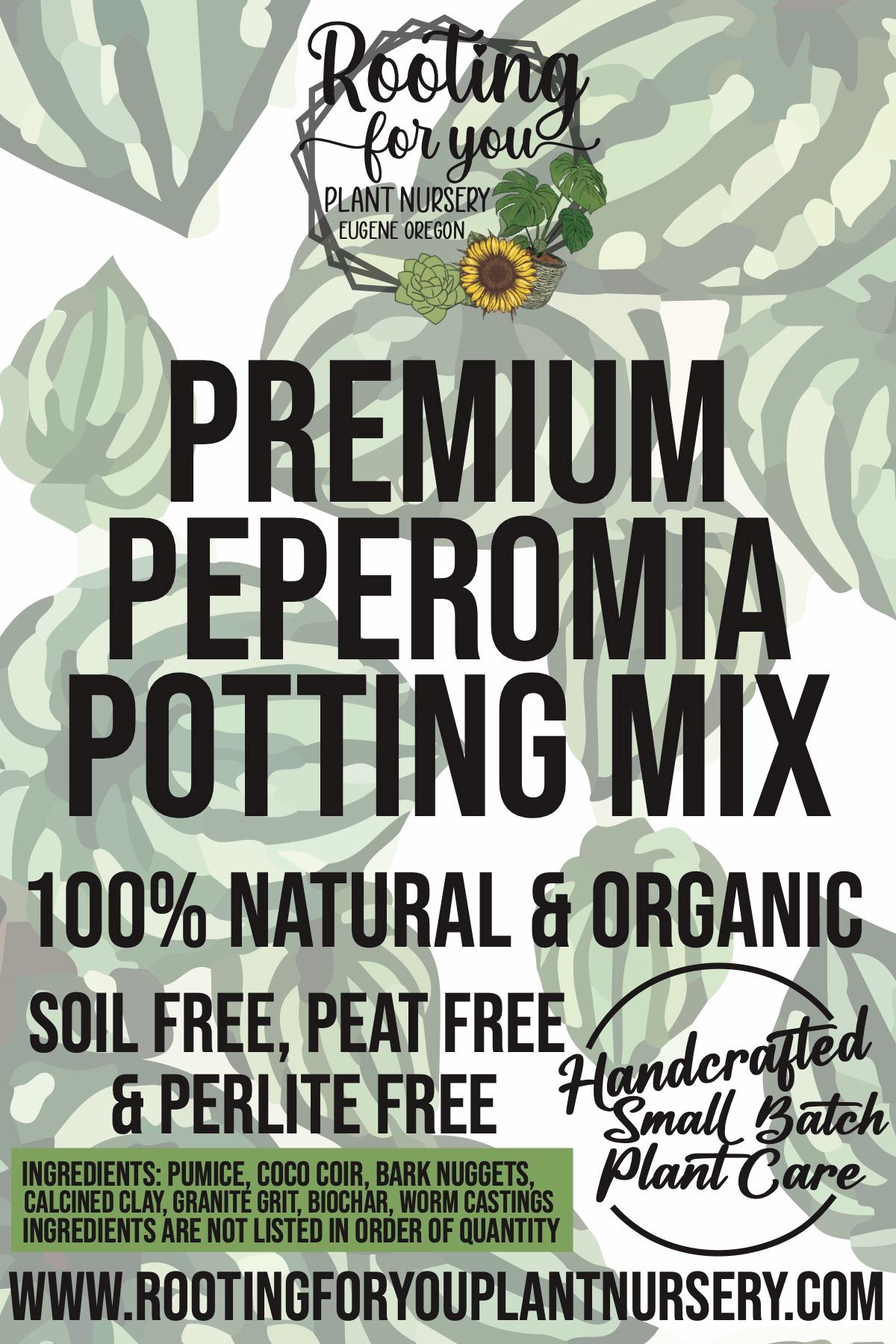 PEPEROMIA Premium Soil Less Potting Mix Oregon Licensed Nursery - - Etsy