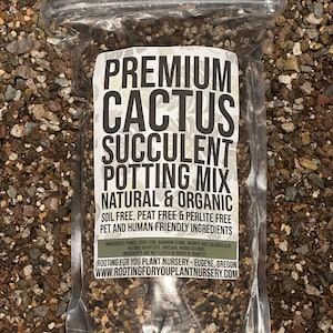 CACTUS & SUCCULENT Premium Soil Less Potting Mix Oregon Licensed Nursery - rootingforyouplantnursery.com