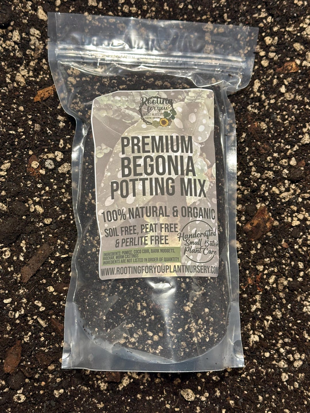 BEGONIA Premium Soil Less Potting Mix Oregon Licensed Nursery - - Etsy