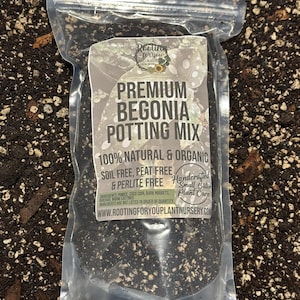 May include: A clear plastic bag filled with a dark brown potting mix for begonias. The bag has a white label with the text "Rooting for you", "Premium Begonia Potting Mix", "100% Natural & Organic", "Soil Free, Peat Free & Perlite Free", "Handcrafted Small Batch Plant Care", and "www.rootingforyouplantnursery.com".