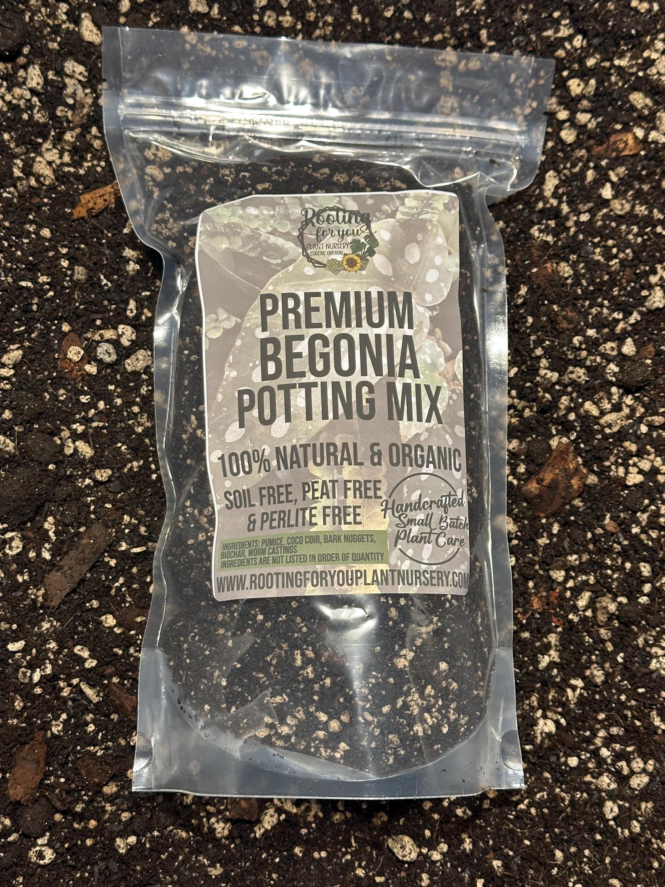 BEGONIA Premium Soil Less Potting Mix Oregon Licensed Nursery - - Etsy