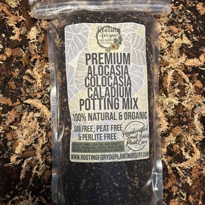 May include: A clear plastic bag filled with dark brown potting mix for Alocasia, Colocasia, and Caladium plants. The bag has a white label with the text "Rooting for you Plant Nursery" and "Premium Alocasia Colocasia Caladium Potting Mix 100% Natural & Organic Soil Free, Peat Free & Perlite Free Handcrafted Small Batch Plant Care www.rootingforyouplantnursery.com".