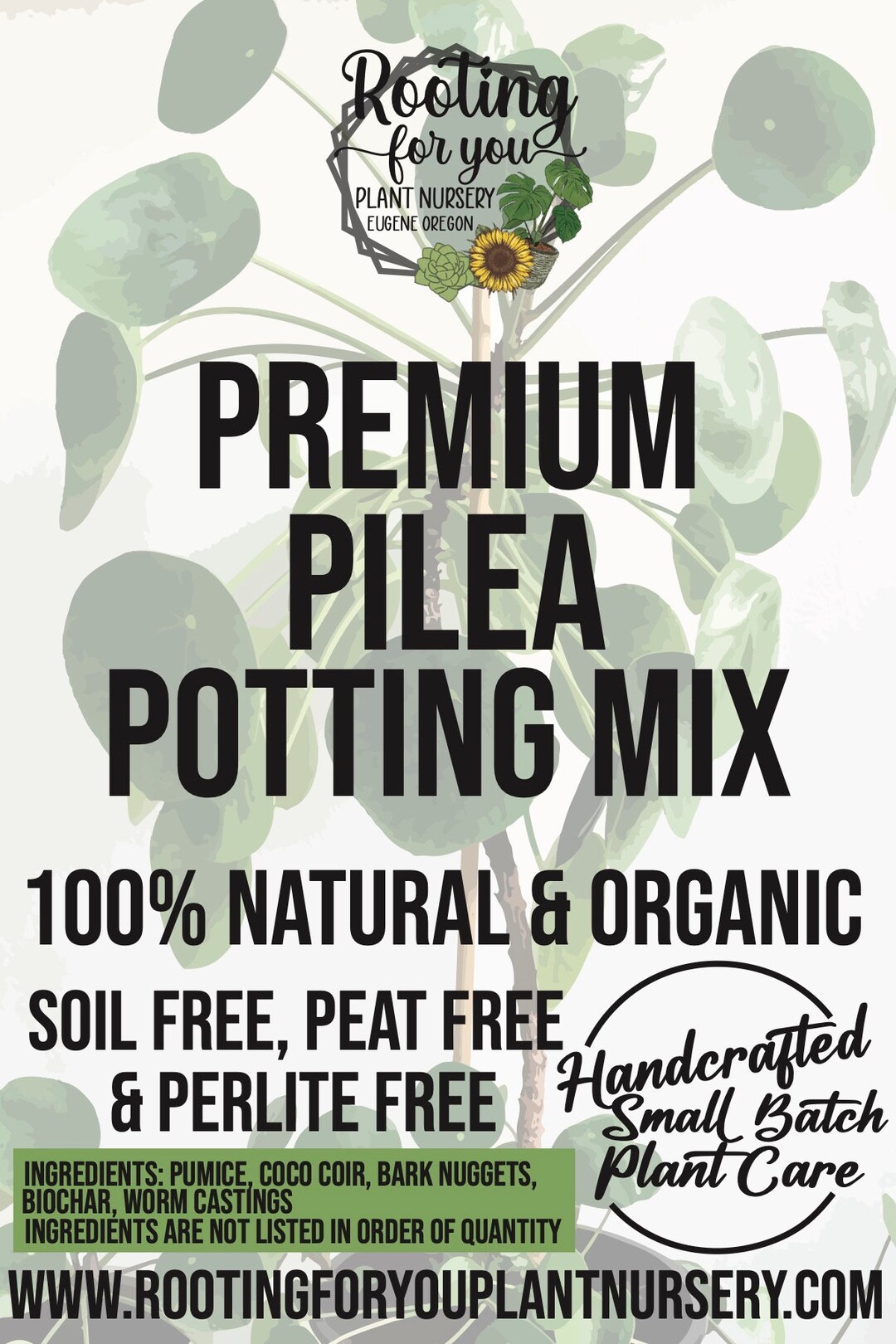 Potting Mix For Pilea at Constance Milton blog
