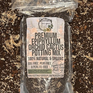 May include: A clear plastic bag filled with a dark brown potting mix for epiphyllum orchid cactus. The bag has a white label with the text "Rooting for you Plant Nursery Eugene Oregon", "Premium Epiphyllum Orchid Cactus Potting Mix", "100% Natural & Organic", "Soil Free, Peat Free & Perlite Free", "Handcrafted Small Batch Plant Care", and "www.rootingforyouplantnursery.com".