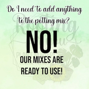 May include: A green and white watercolor background with a black graphic that says "Do I need to add anything to the potting mix? NO! OUR MIXES ARE READY TO USE!"