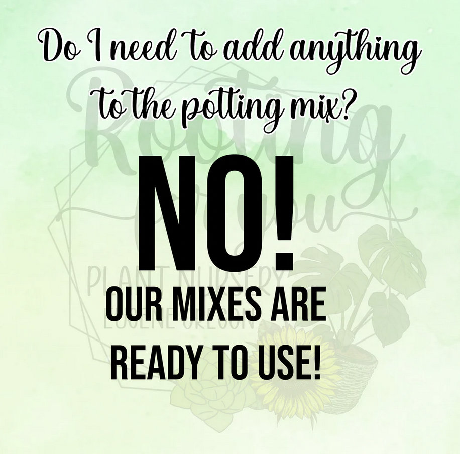 PINEAPPLE Premium Soil Less Potting Mix Oregon Licensed Nursery - - Etsy