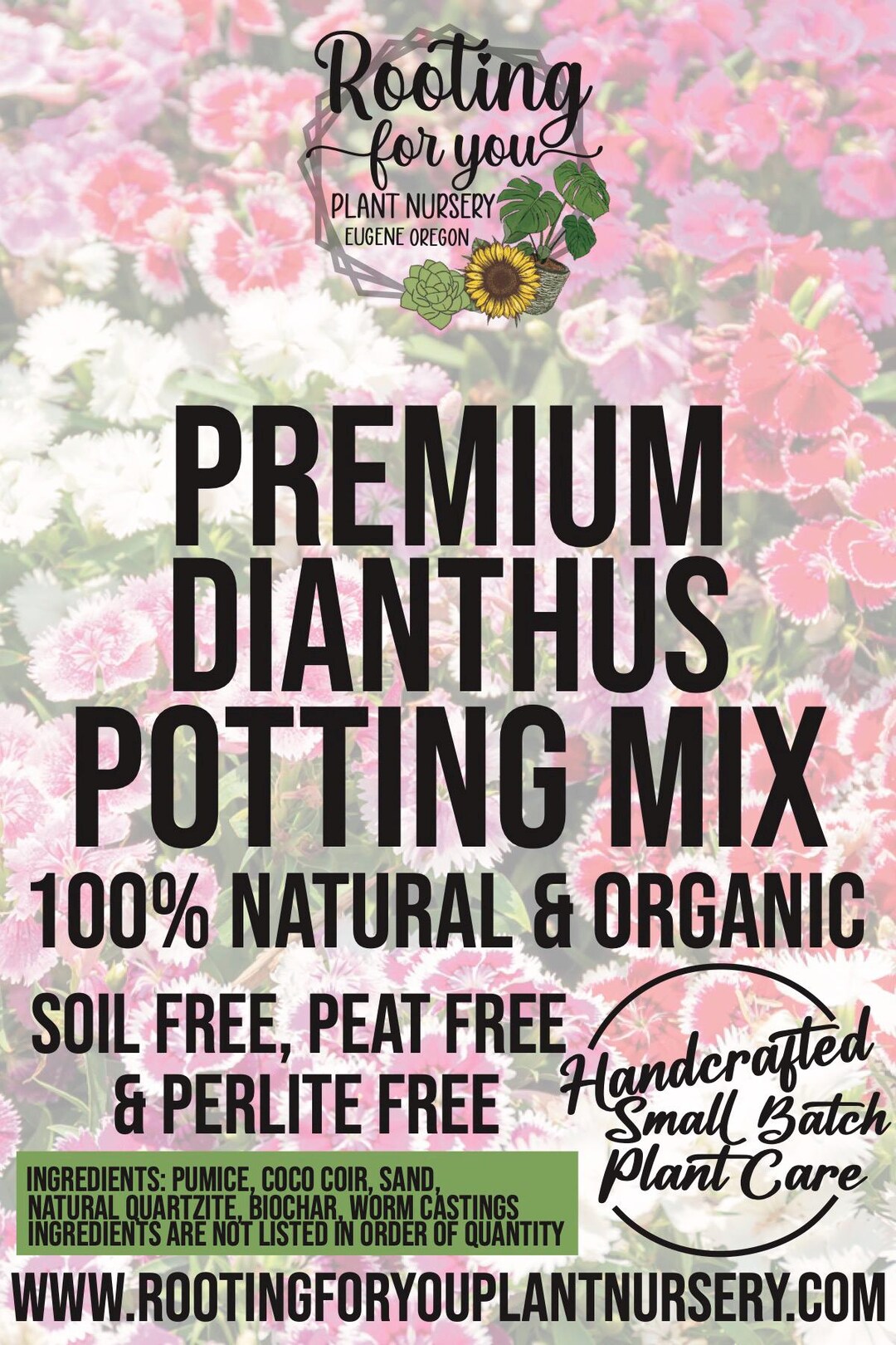Dianthus Premium Soil Less Potting Mix Oregon Licensed Nursery - - Etsy