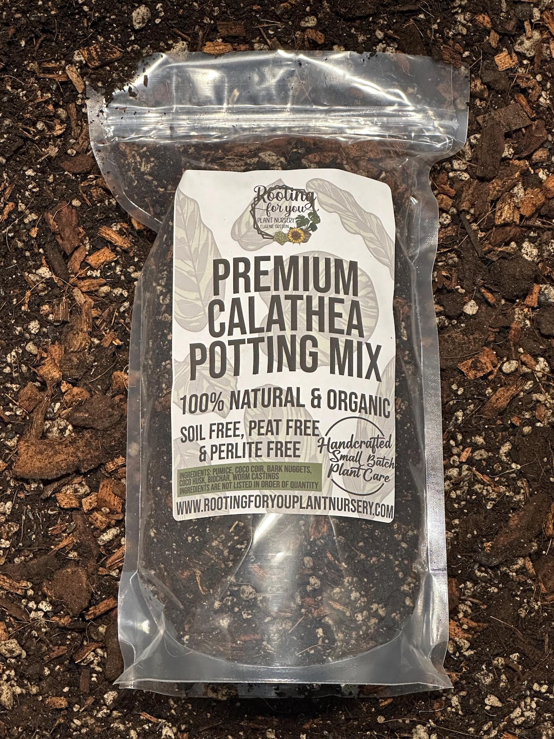 CALATHEA Premium Soil Less Potting Mix Oregon Licensed Nursery - - Etsy