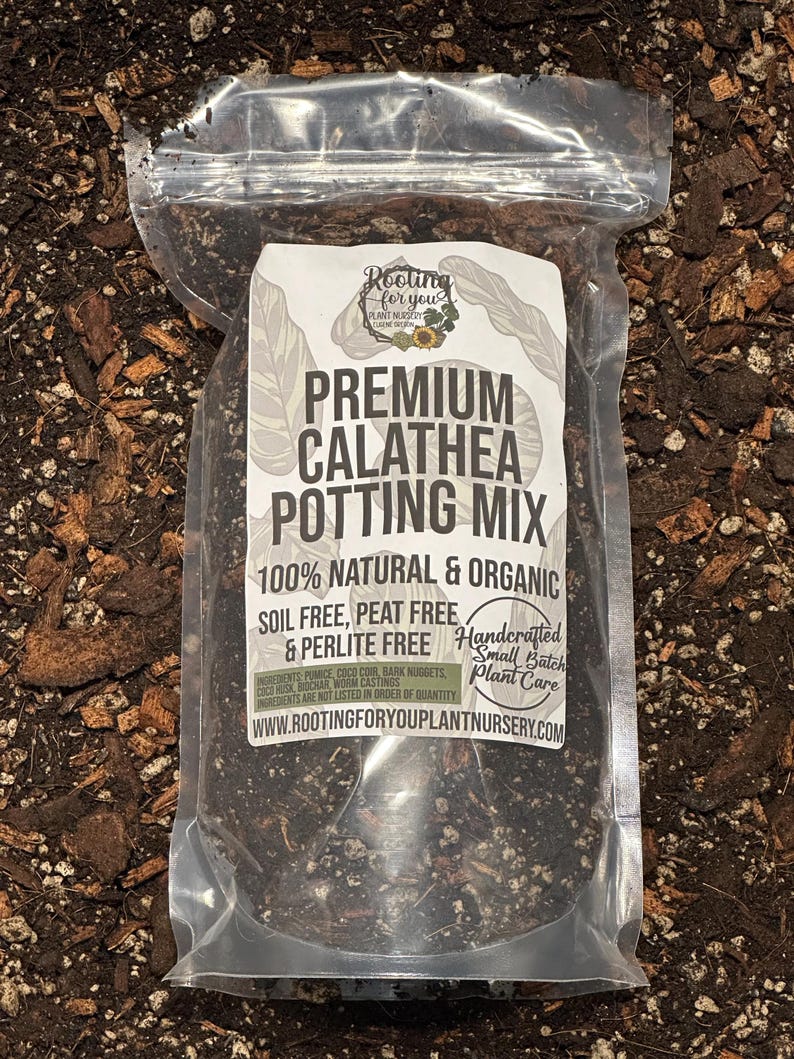 CALATHEA Premium Soil Less Potting Mix Oregon Licensed Nursery - - Etsy