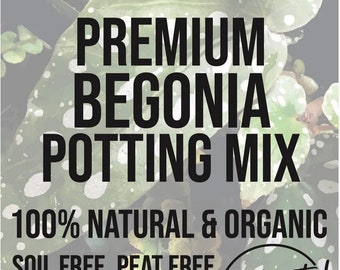 BEGONIA Premium Soil Less Potting Mix Oregon Licensed Nursery - rootingforyouplantnursery.com