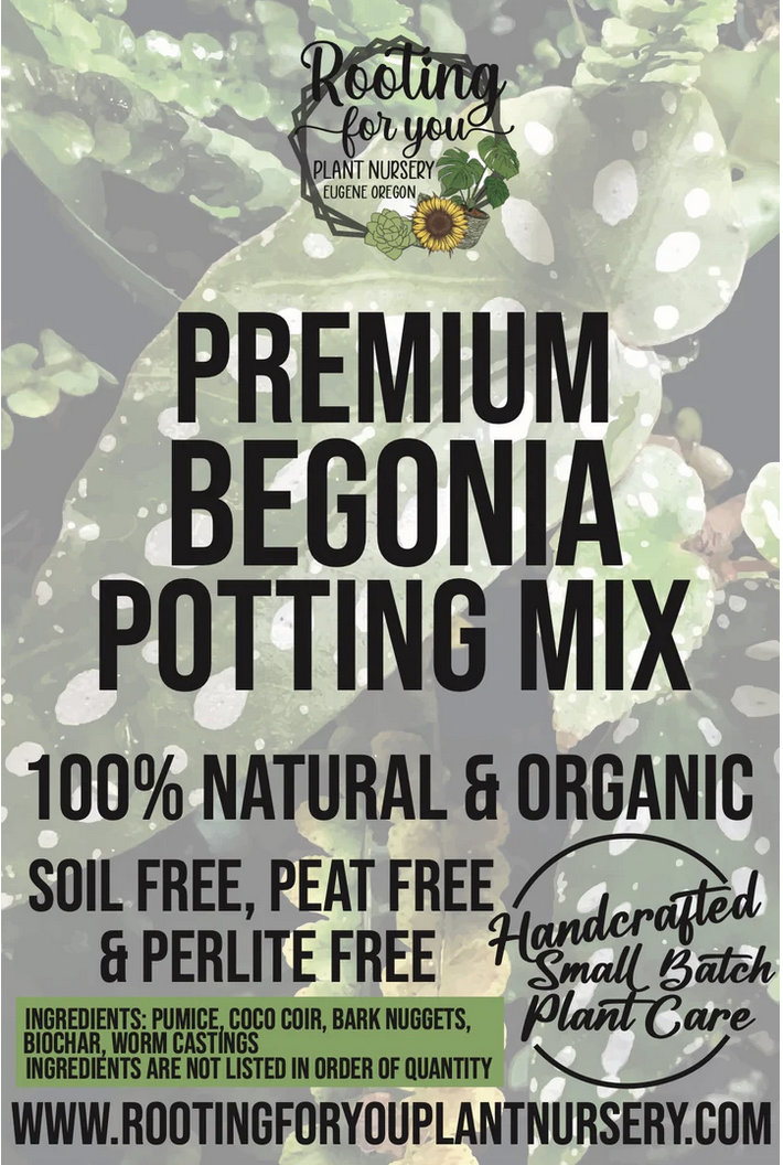 BEGONIA Premium Soil Less Potting Mix Oregon Licensed Nursery - - Etsy
