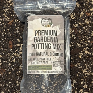 May include: A clear plastic bag filled with a dark brown potting mix for gardenias. The bag has a label that reads "Premium Gardenia Potting Mix", "100% Natural & Organic", "Soil Free, Peat Free & Perlite Free", "Handcrafted Small Batch Plant Care", and "www.rootingforyouplantnursery.com".