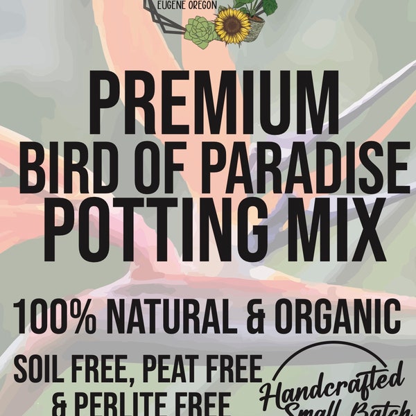 Bird of Paradise Plant Etsy