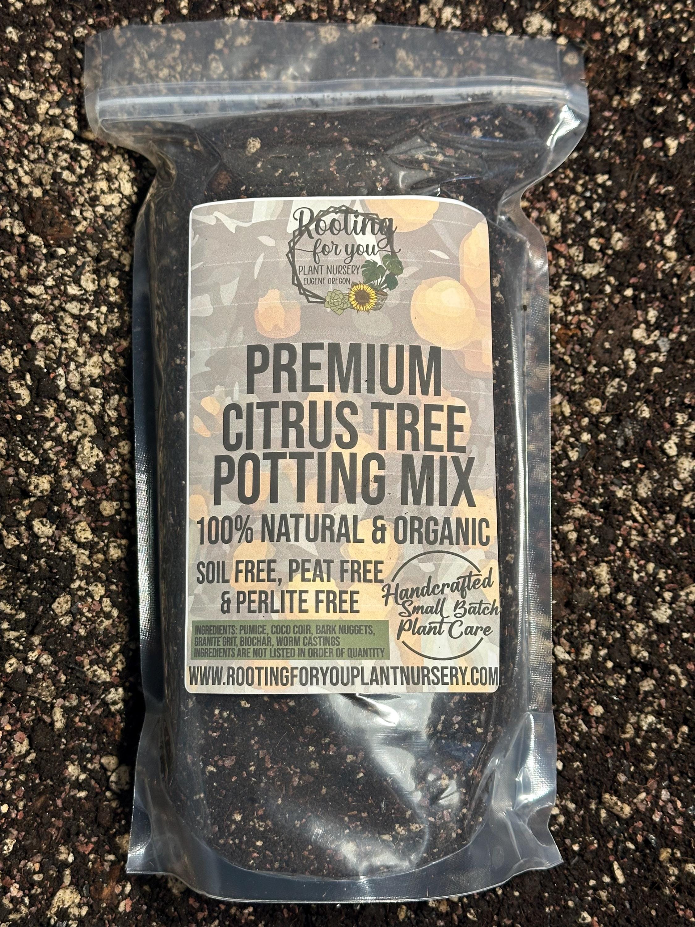 CITRUS TREE Premium Soil Less Potting Mix Oregon Licensed Nursery - rootingforyouplantnursery.com
