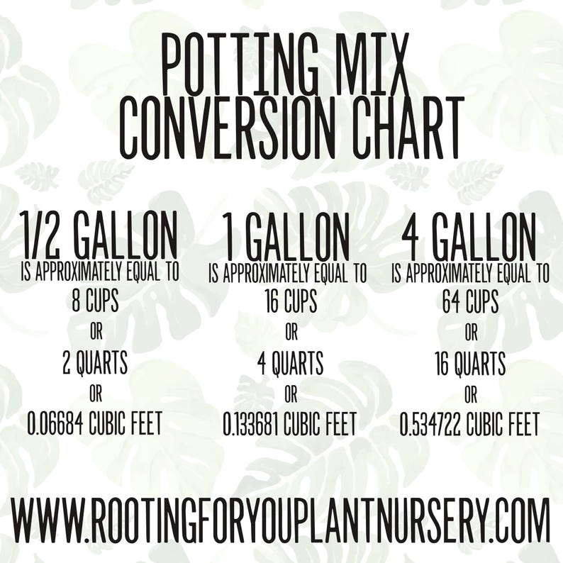 FICUS Premium Soil Less Potting Mix Oregon Licensed Nursery - - Etsy