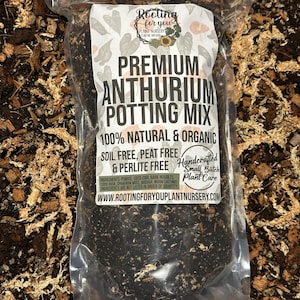 May include: A clear plastic bag filled with a dark brown potting mix for Anthurium plants. The bag has a label that reads "Premium Anthurium Potting Mix 100% Natural & Organic Soil Free, Peat Free & Perlite Free Handcrafted Small Batch Plant Care WWW.ROOTINGFORYOUPLANTNURSERY.COM"