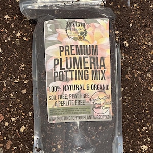 PLUMERIA Premium Soil Less Potting Mix Oregon Licensed Nursery - rootingforyouplantnursery.com