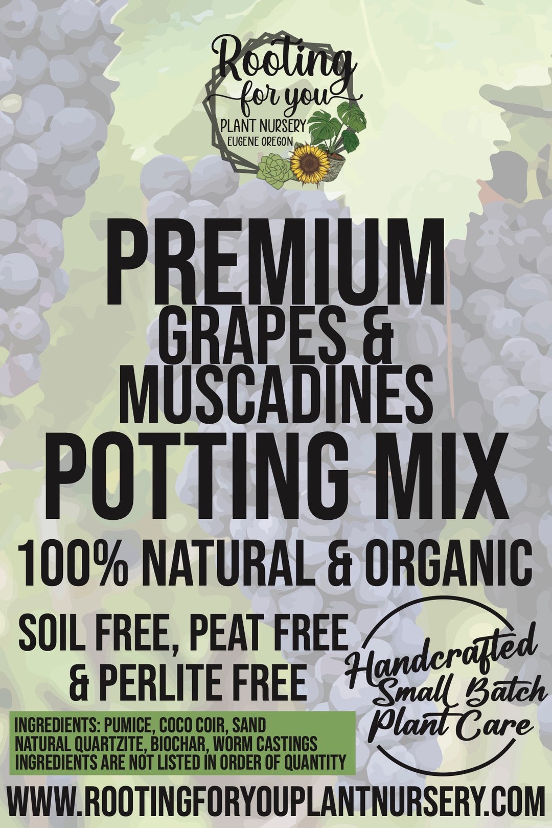 GRAPES MUSCADINES Premium Soil Less Potting Mix Oregon Licensed Nursery