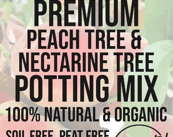 PEACH NECTARINE TREE Premium Soil Less Potting Mix Oregon Licensed Nursery - rootingforyouplantnursery.com