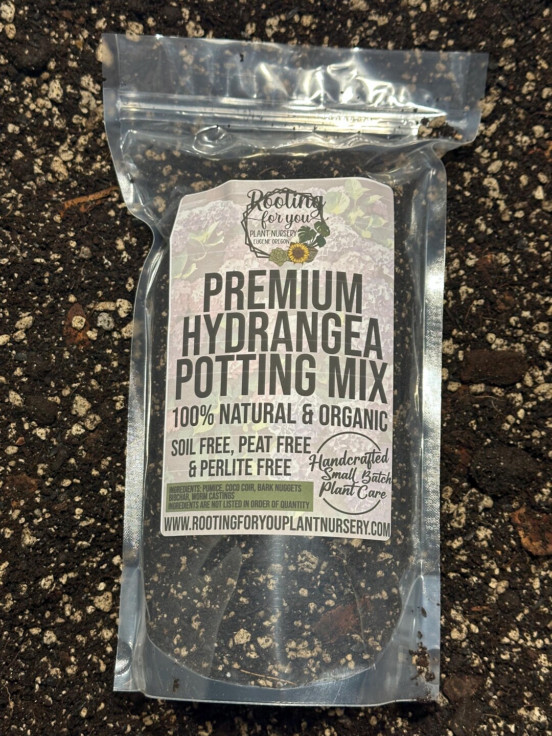 HYDRANGEA Premium Soil Less Potting Mix Oregon Licensed Nursery - - Etsy
