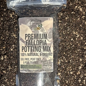 May include: A clear plastic bag filled with dark brown potting mix. The bag has a label that reads "Premium Fallopia Potting Mix 100% Natural & Organic Soil Free, Peat Free & Perlite Free Handcrafted Small Batch Plant Care www.rootingforyouplantnursery.com"