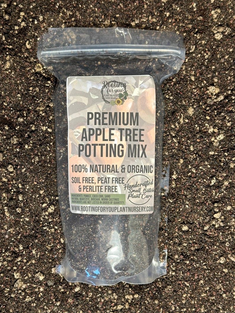 Apple Tree Premium Soil Less Potting Mix Oregon Licensed Nursery - - Etsy