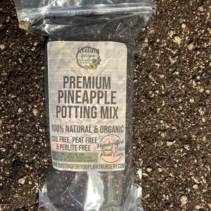 May include: A clear plastic bag filled with a dark brown potting mix. The bag has a white label with the text "Rooting for you Plant Nursery" and "Premium Pineapple Potting Mix". The label also states that the mix is 100% natural and organic, soil free, peat free, and perlite free. It is handcrafted in small batches and includes plant care instructions.