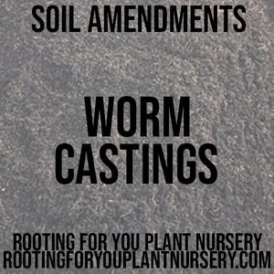 May include: A close-up of a gray, textured surface with the text "SOIL AMENDMENTS" and "WORM CASTINGS" in black. The text "ROOTING FOR YOU PLANT NURSERY ROOTINGFORYOUPLANTNURSERY.COM" is also visible in black.